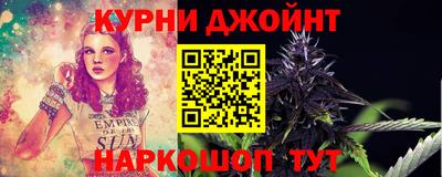 гидра Моздок