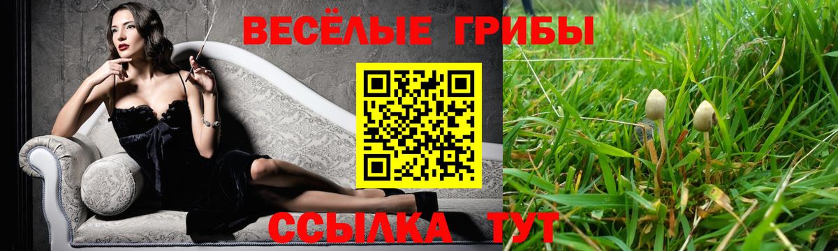 Псилоцибиновые грибы мицелий  даркнет сайт  Фролово  Вход с VPN 